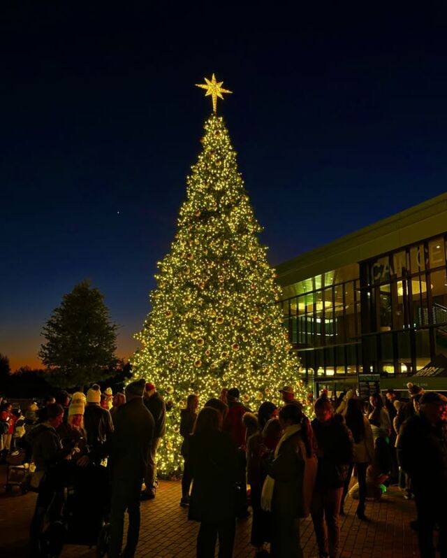 EnergyUnited is proud to support our community, most recently as the Tree Lighting Sponsor for Light Up Cornelius!

#LightUpCornelius #TheEnergyUnitedWay